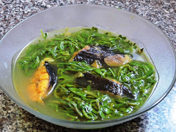 ba-ba-co-an-duoc-canh-la-dang-khong-canh-la-dang-nau-ca-