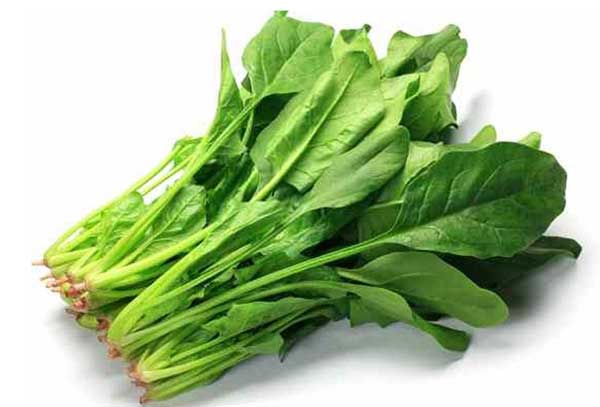 ba-bau-nen-an-rau-gi-cai-bo-xoi