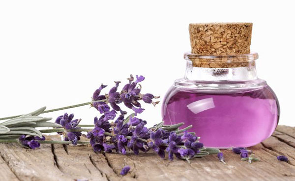 Trị mụn nước bằng tinh dầu oải hương
