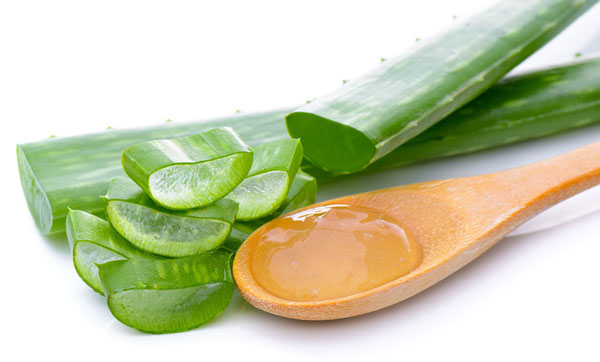 Cách chữa mụn nước bằng lá nha đam