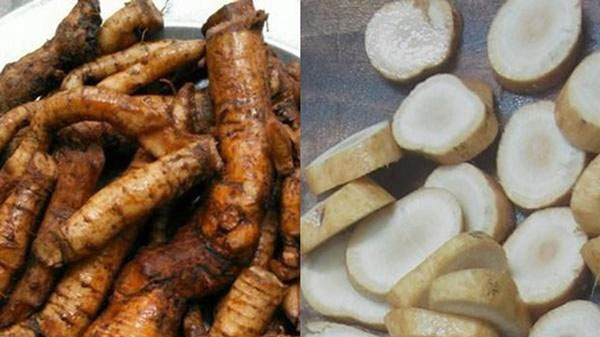 cu-gai-tuoi-tac-dung-an-thai