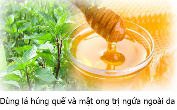 la-hung-que-tri-ngua
