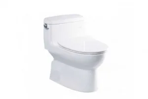 ms884t8