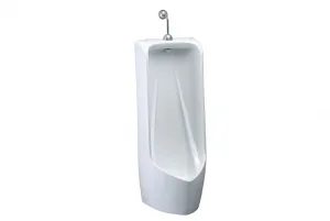 u0288