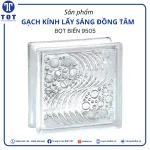 Gạch kính lấy sáng Đồng Tâm (Bong Bóng 9505)
