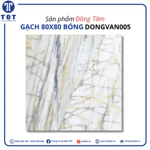 dongvan005