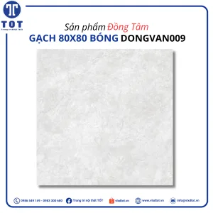 dongvan009