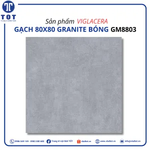 gm8803