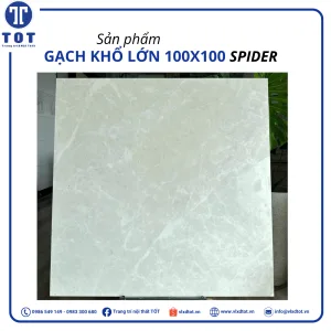 spider