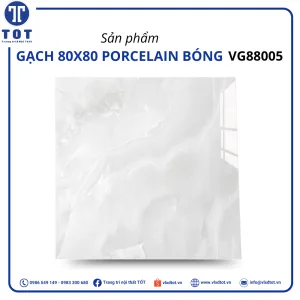 vg88005