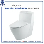 Bàn Cầu Một Khối INAX AC-919VRN