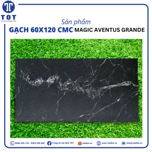 magic-aventus-grande