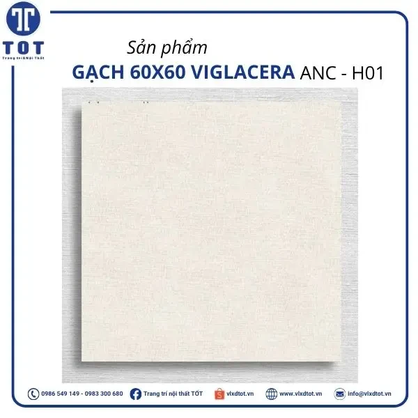 Gạch lát nền Viglacera 60x60 ANC - HO1