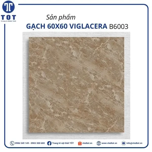 Gạch lát nền Viglacera 60x60 B6003