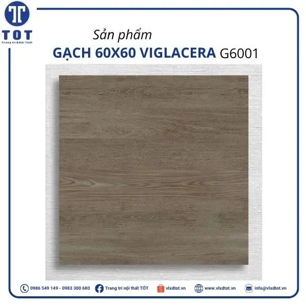 Gạch lát nền Viglacera 60x60 G6001