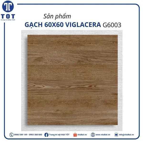 Gạch lát nền Viglacera 60x60 G6003