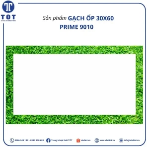 gach-op-tuong-prime-30x60-60x120-1