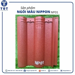 np01