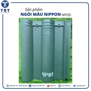 np05