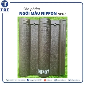 np07