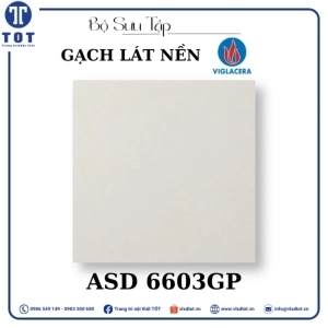 gach-lat-nen-8080-viglacera-asd-6603gp