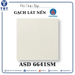 gach-lat-nen-8080-viglacera-asd-6641sm