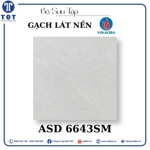 gach-lat-nen-8080-viglacera-asd-6643sm