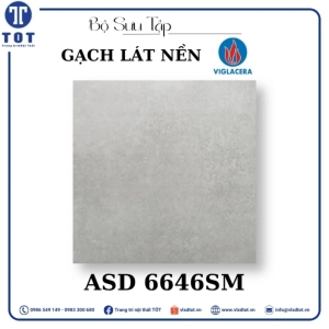 gach-lat-nen-8080-viglacera-asd-6646sm