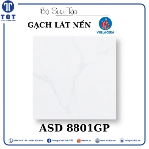 gach-lat-nen-8080-viglacera-asd-8801gp