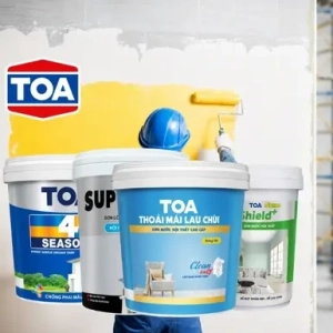 danh-muc-son-toa