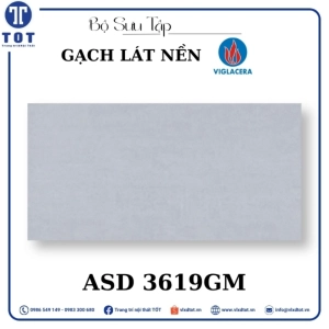 gach-lat-nen-3060-viglacera-asd-3619gm