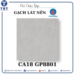 gach-lat-nen-viglacera-8080-ca18-gp8801