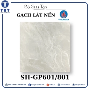 gach-lat-nen-viglacera-8080-sh-gp601-801