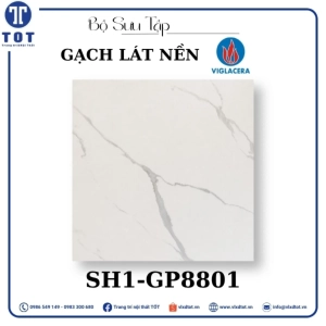 gach-lat-nen-viglacera-8080-sh1-gp8801