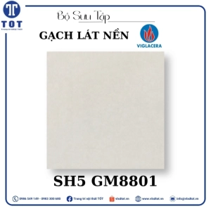 gach-lat-nen-viglacera-8080-sh5-gm8801