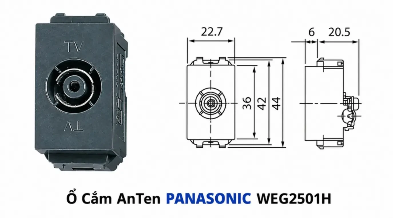 Ổ cắm anten Panasonic WEG2501H