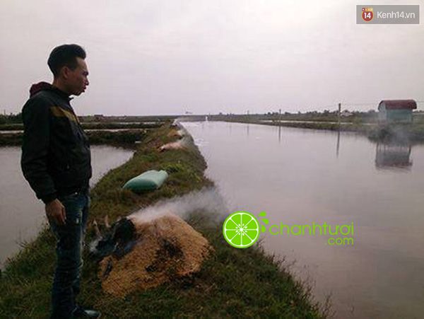Địa chỉ mua cá vược chết rết ủng hộ người dân Thái Bình-1