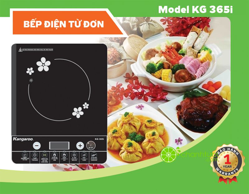Kinh nghiệm chọn mua bếp từ hay bếp hông ngoại