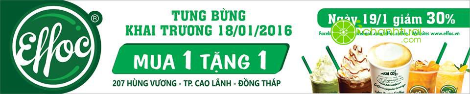 https://sudospaces.com/chanhtuoi-com/uploads/2016/01/effoc-ưu-đãi-khai-trương.jpg