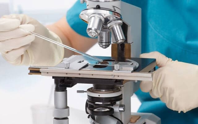 Xử lý sự cố đơn giản khi sử dụng kính hiển vi