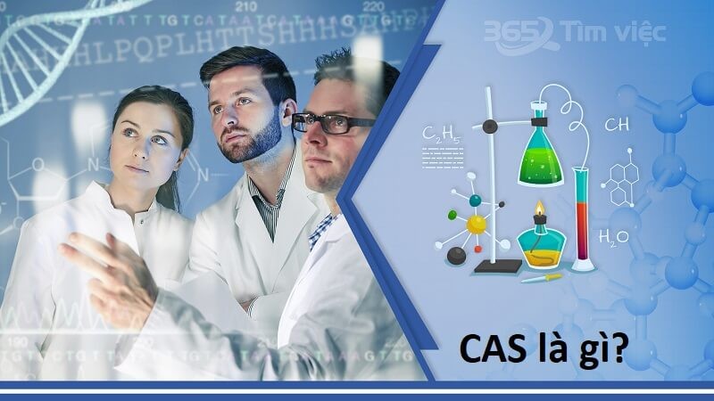 Tổng quan về mã CAS