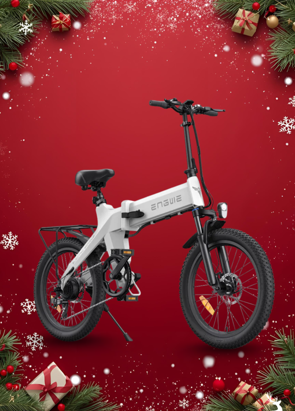 Xe đạp điện trợ lực Engwe C20 Pro 2.0