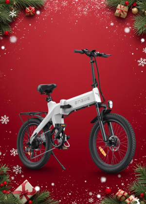 Xe đạp điện trợ lực Engwe C20 Pro 2.0