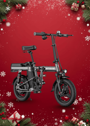 Xe Đạp Điện Trợ Lực ENGWE T14