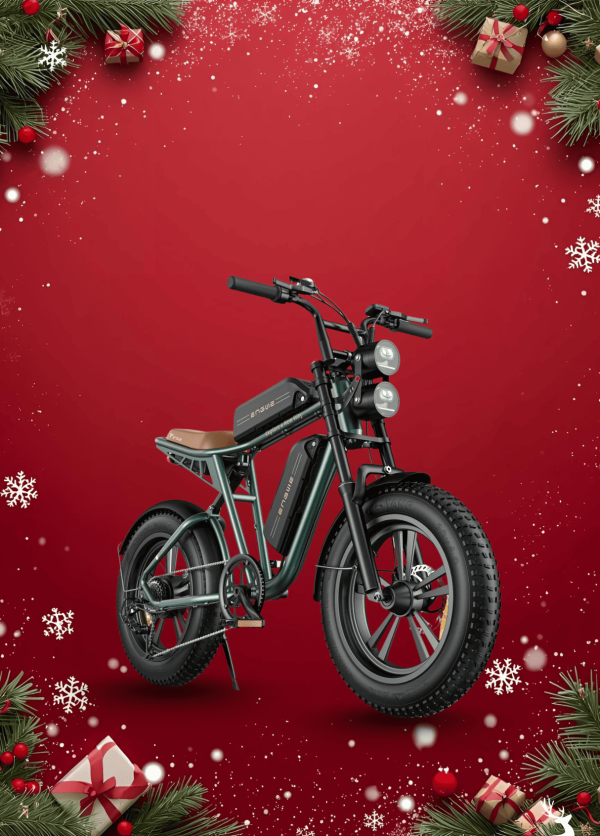 Xe Đạp Điện Trợ Lực Engwe M20