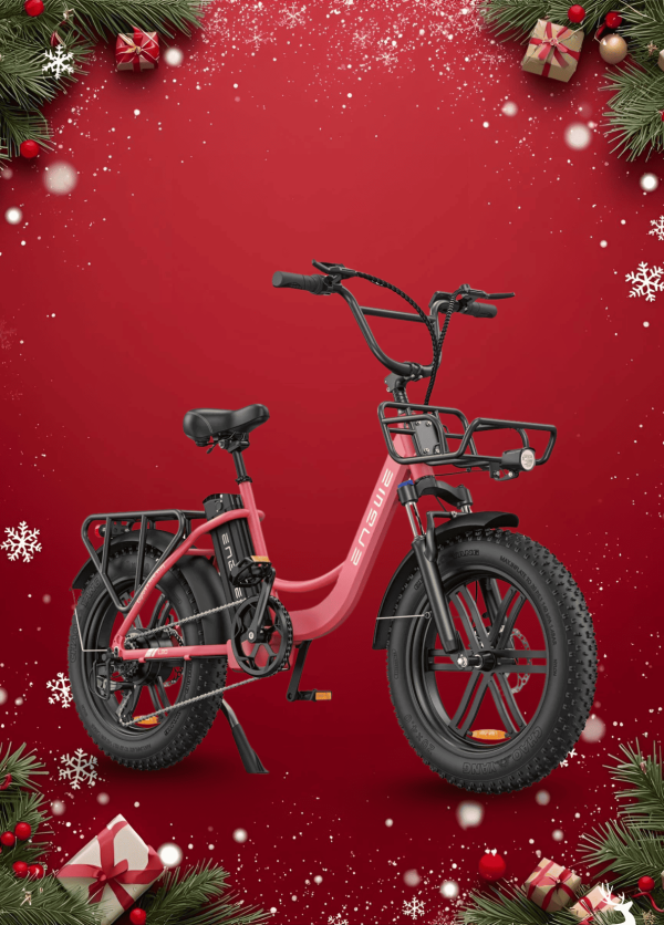 Xe Đạp Điện Trợ Lực ENGWE L20