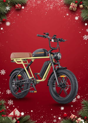 Xe Đạp Điện Trợ Lực Engwe M1