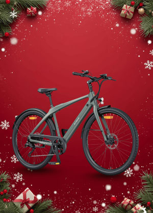 Xe Đạp Điện Trợ Lực Engwe MapFour N1 Air