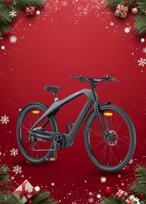 Xe Đạp Điện Trợ Lực Engwe Mapfour N1 Pro