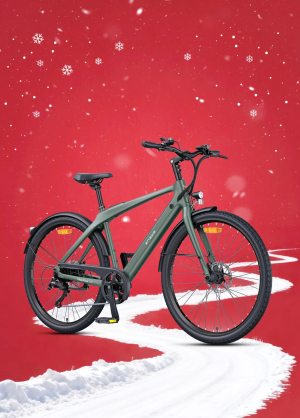 Xe Đạp Điện Trợ Lực Engwe MapFour N1 Air